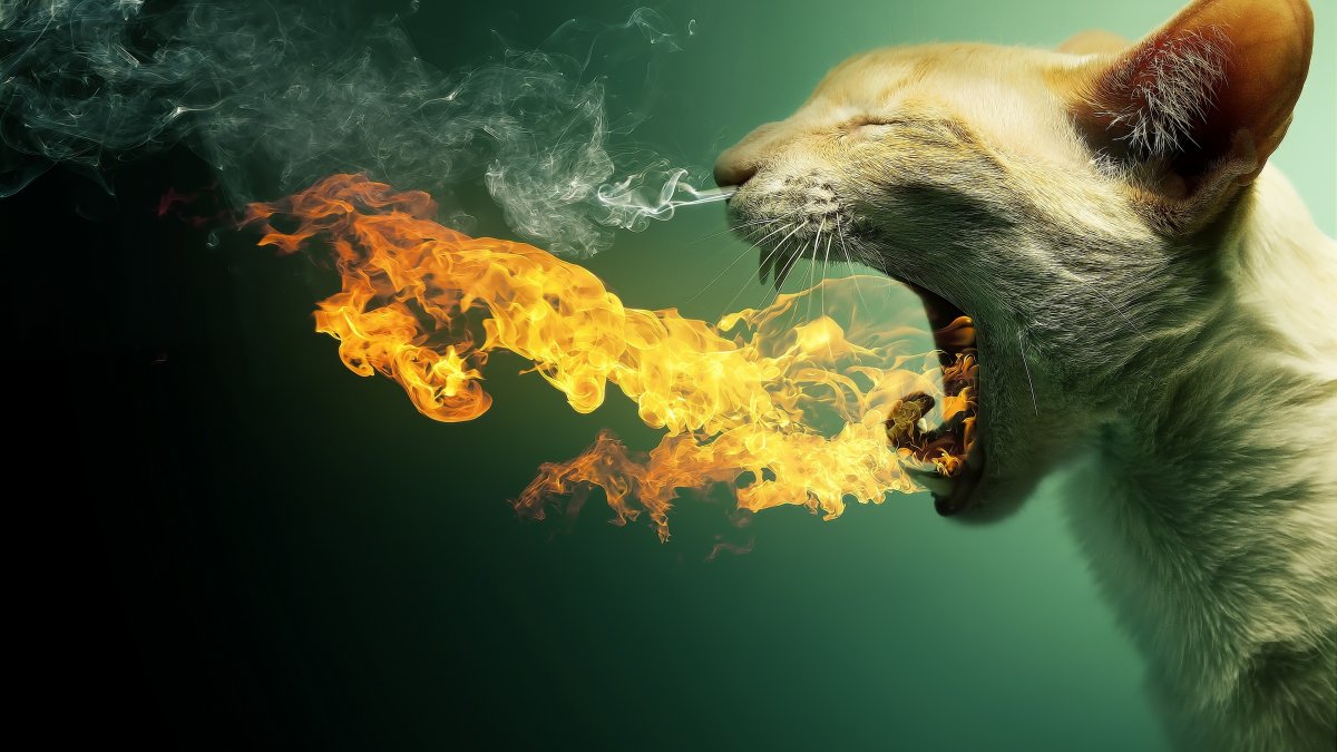 Фразы про уверенность в себе