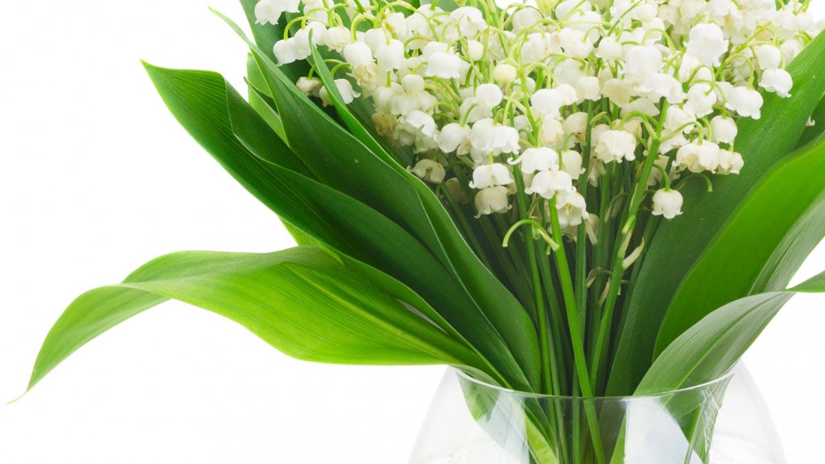 Цветы Ландыши букет