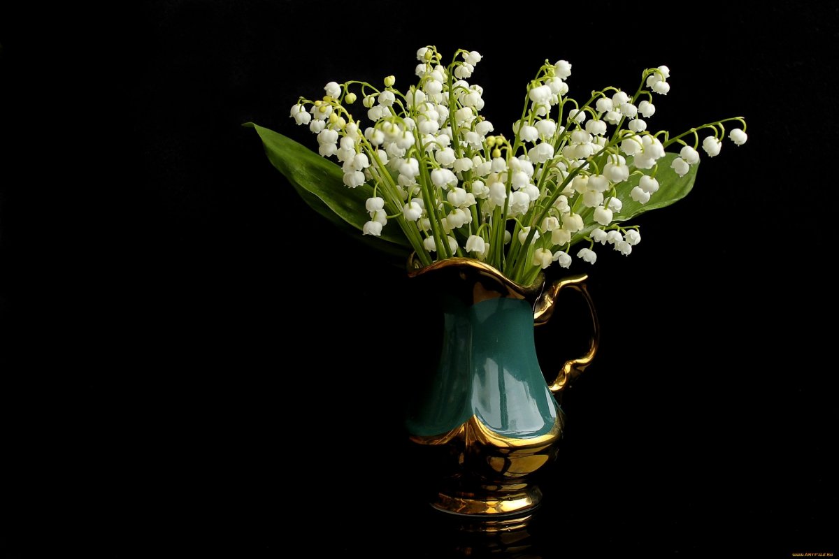 Ландыши на черном фоне