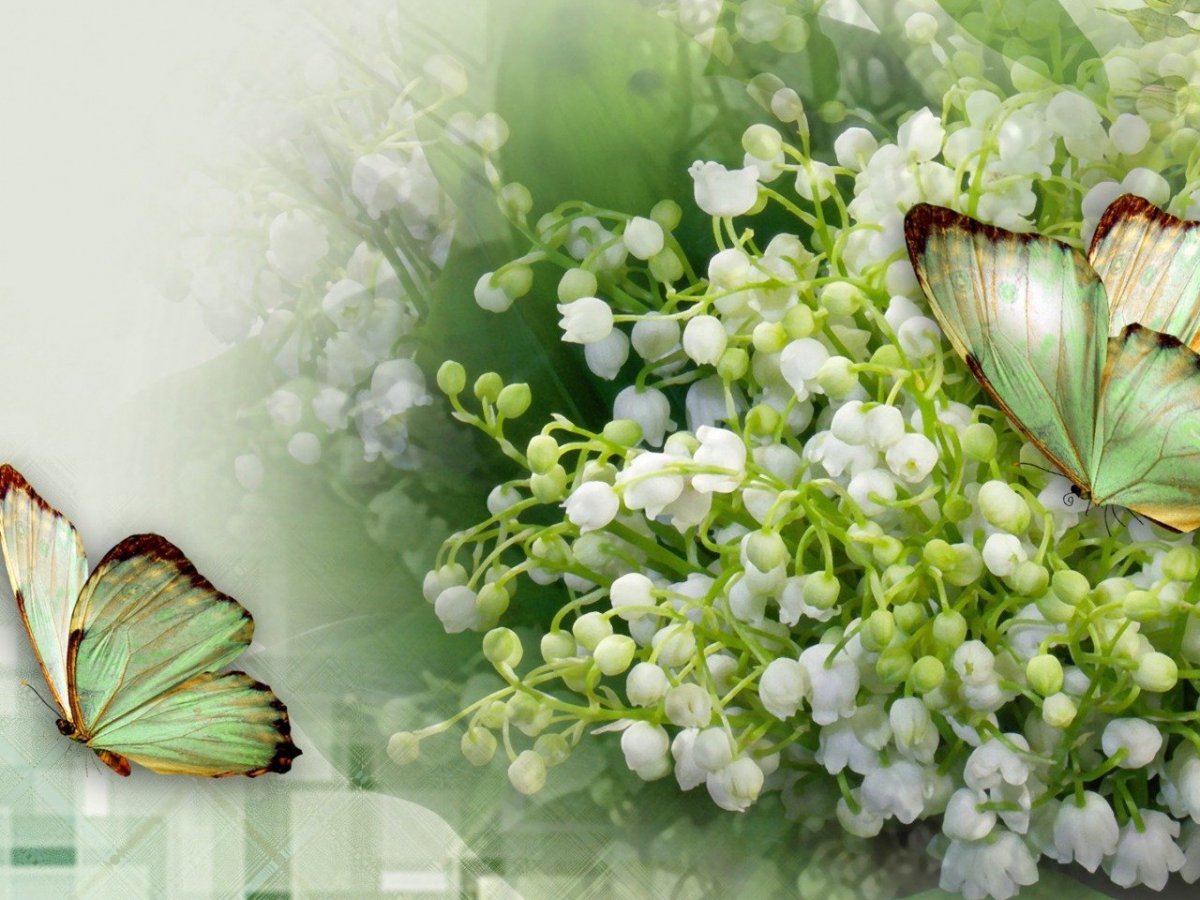 Бабочка на ландышах