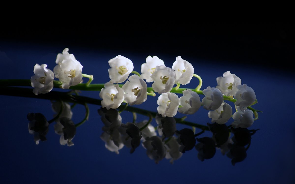 Весна цветы