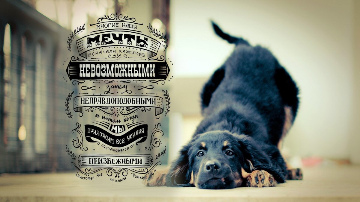 Обои на рабочий стол мотивация