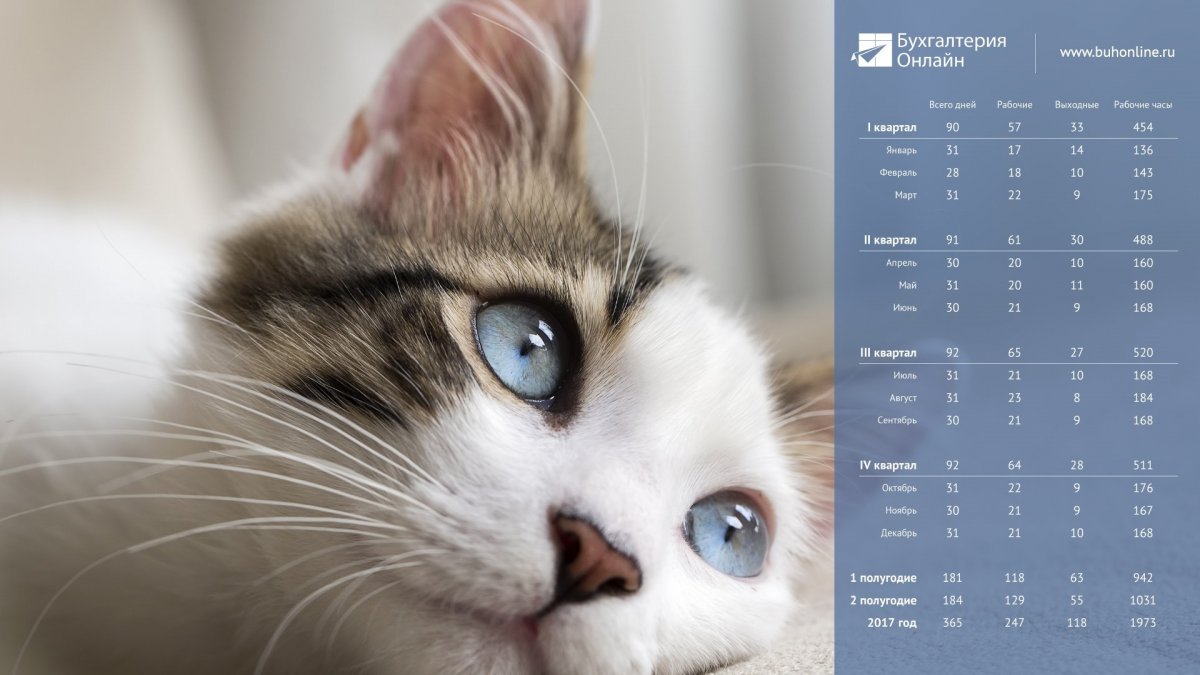 Фон для рабочего стола бухгалтера