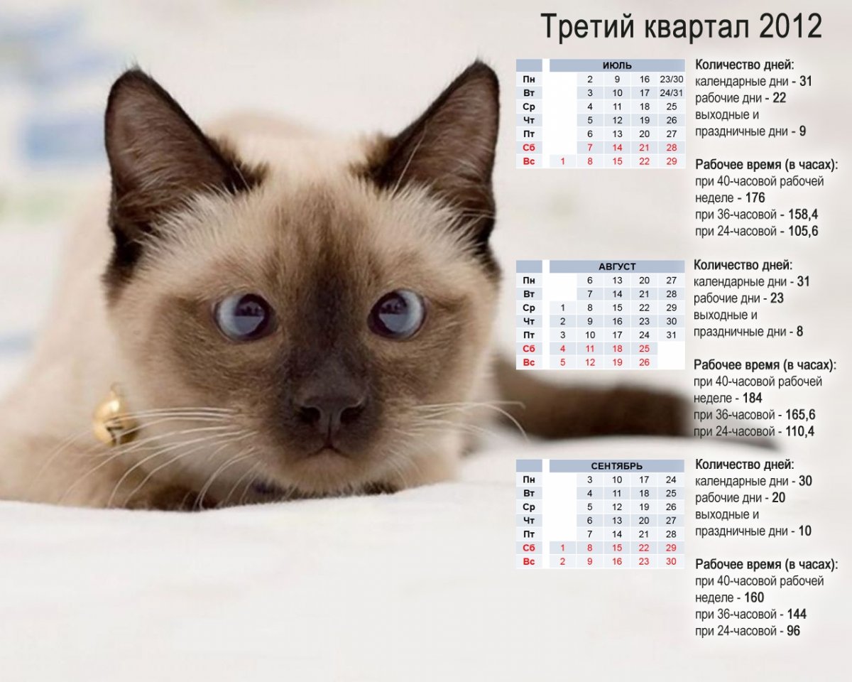 Онлайн сервисы ЖКХ