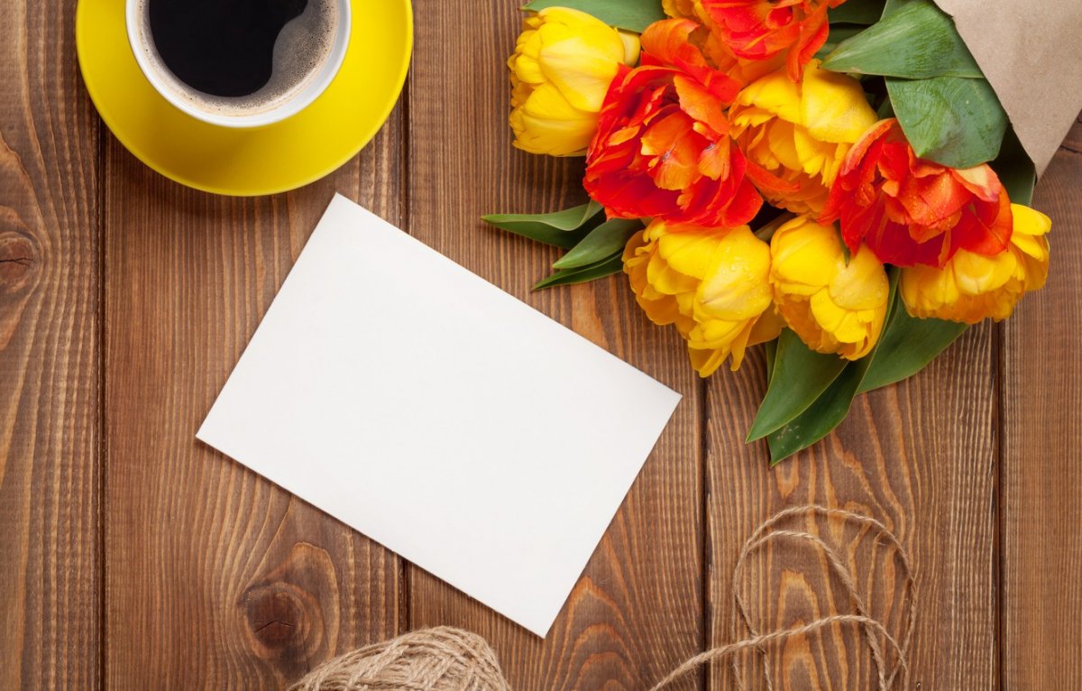 Умный котик в очках