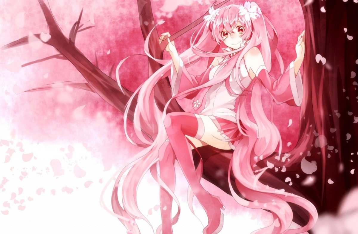 Sakura Miku (Сакура Мику)