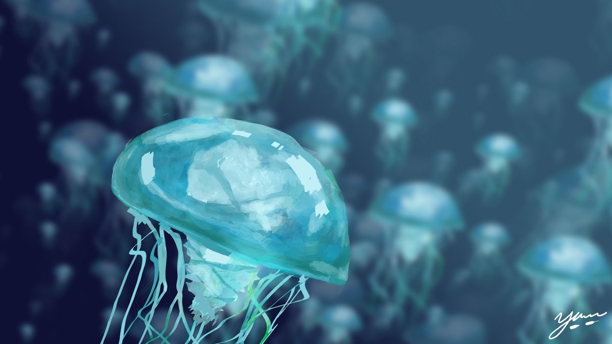 Бирюзовые обои на рабочий стол