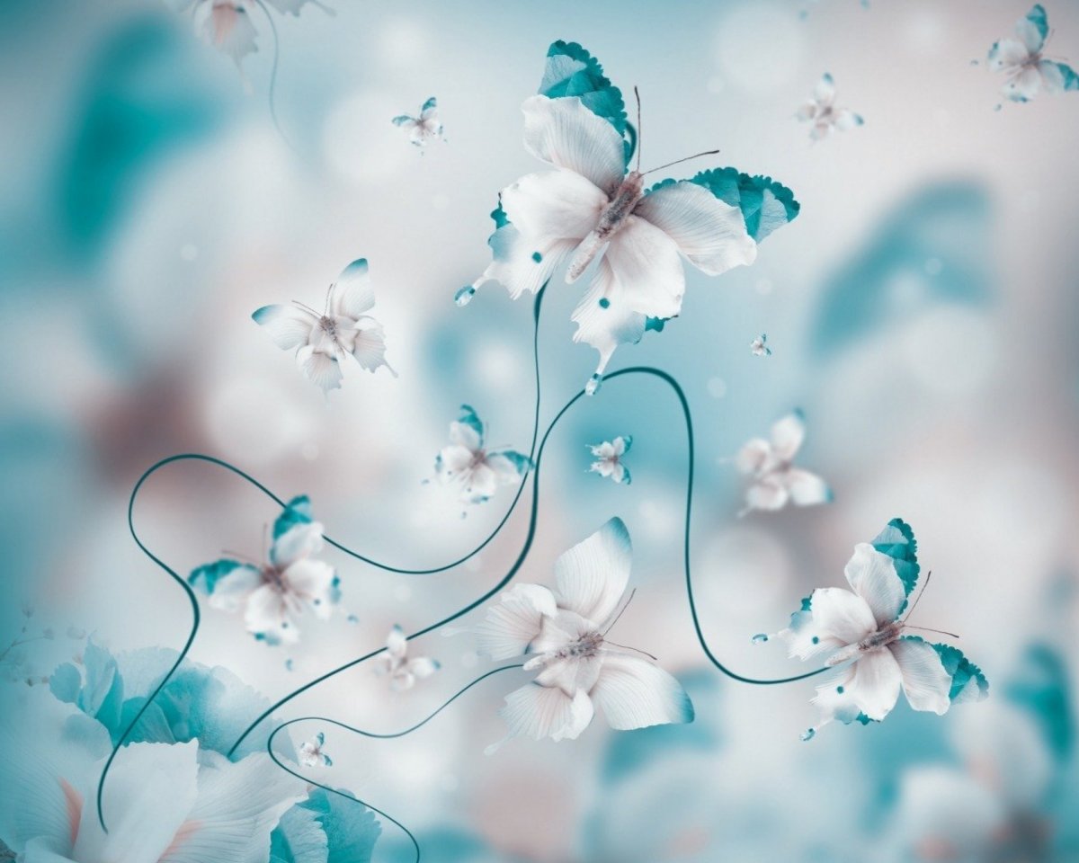 Фон бабочки