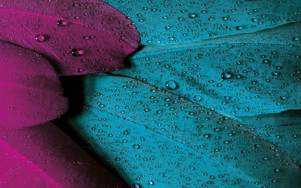 Бирюзовый и фиолетовый