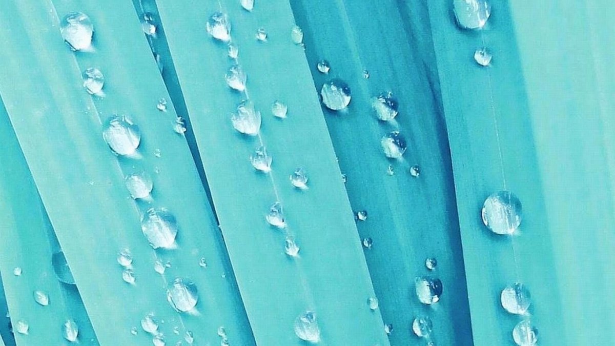 Эстетика голубого