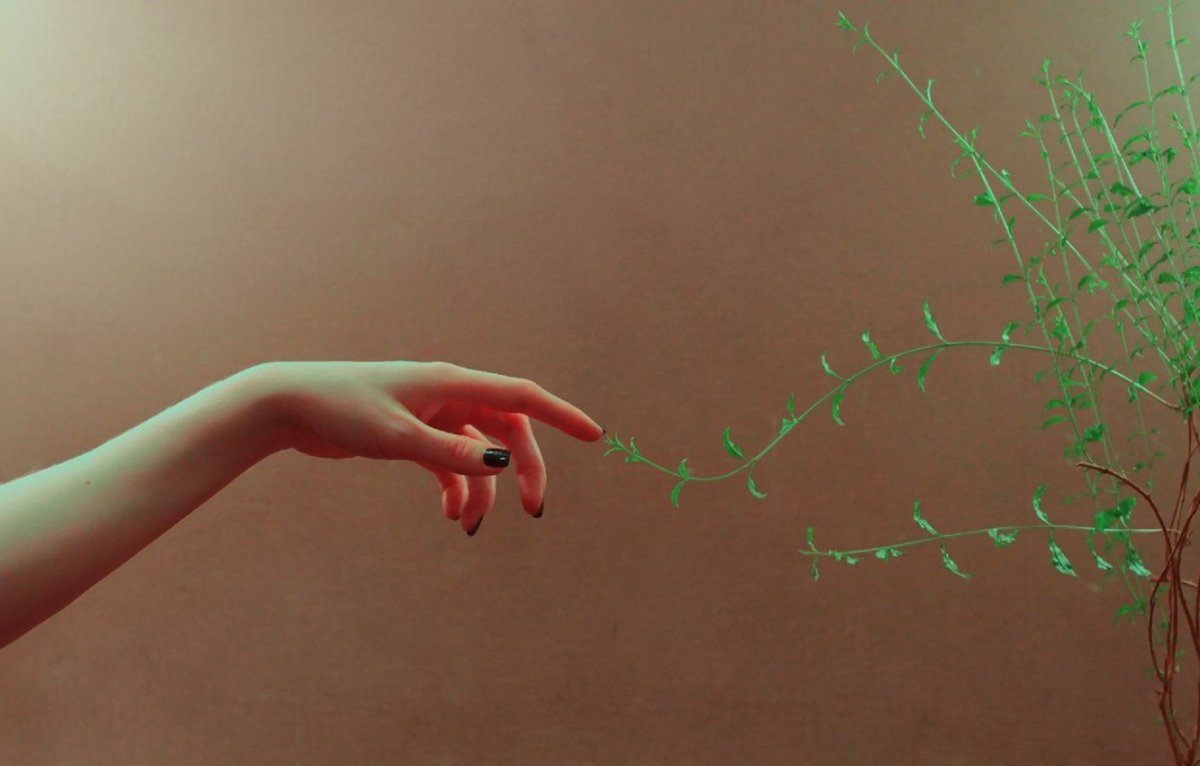 Красота Минимализм