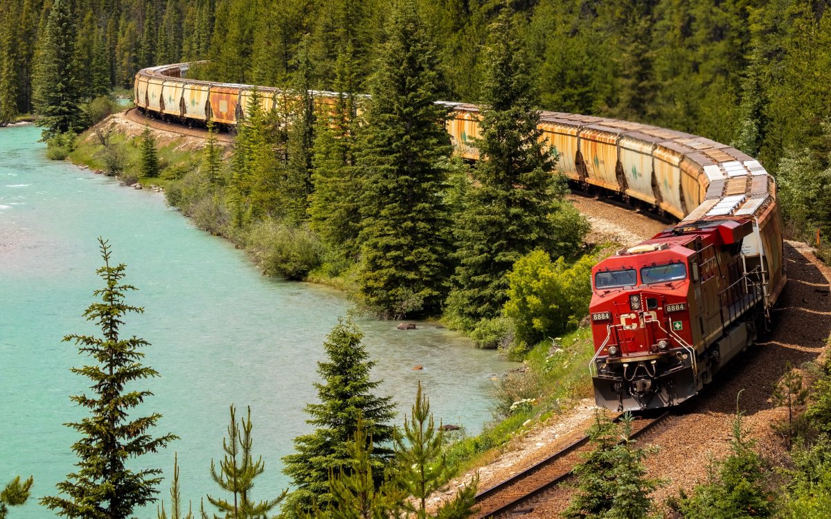 Одноколейка железная дорога лес Сергиев Посад
