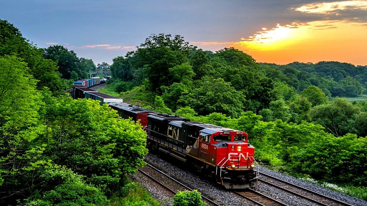 Поезд на фоне природы