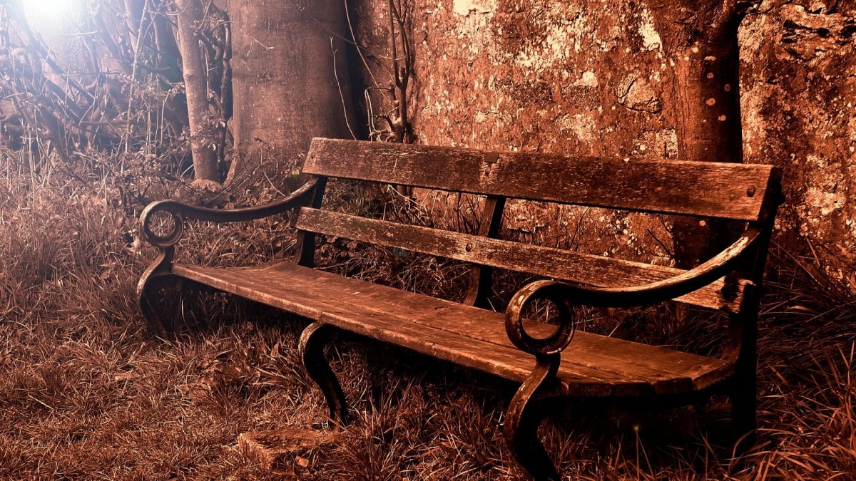 Лавочка в лесу