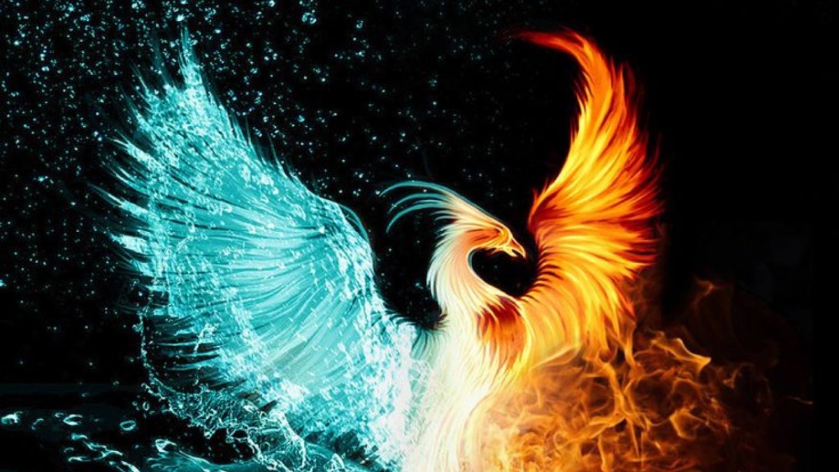 Феникс Анка