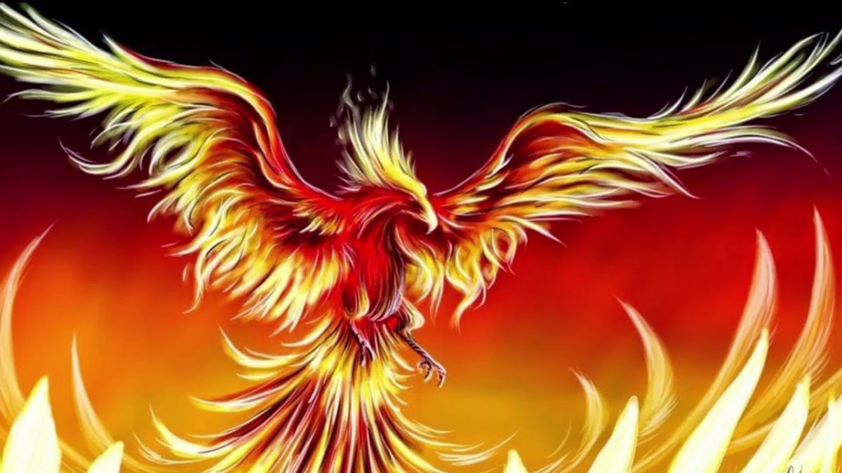 Феникс Возрождение Феникс Возрождение