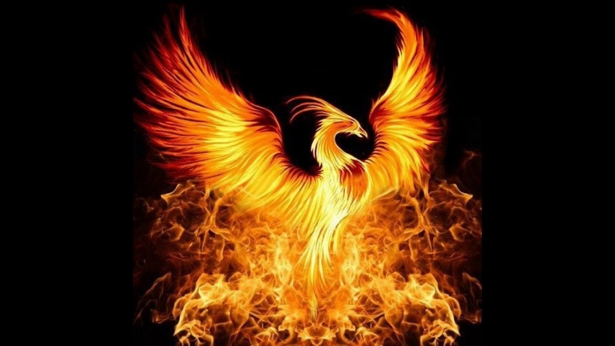 Птица Феникс Восставшая