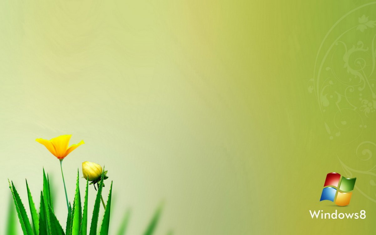 Красивые фоны для рабочего стола Windows 8
