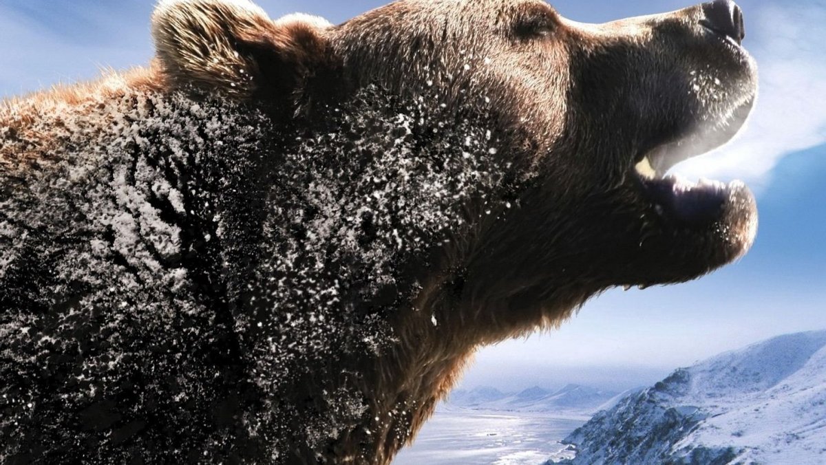 Россия царство тигров медведей и вулканов фильм 2011