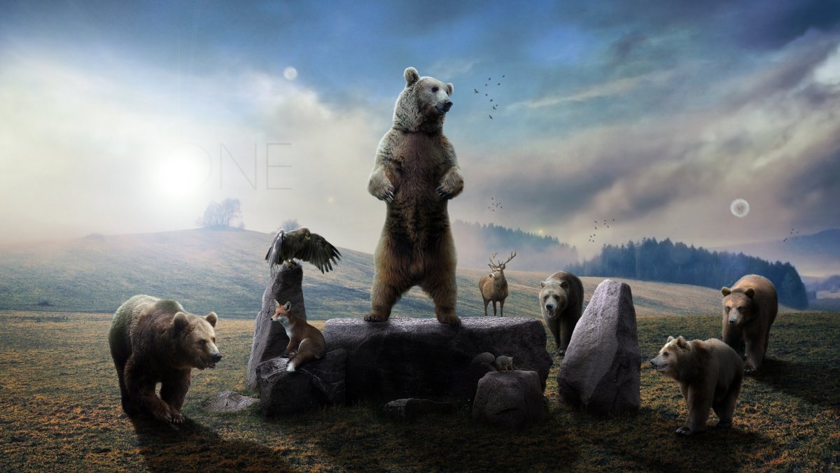 Медведь на фоне гор