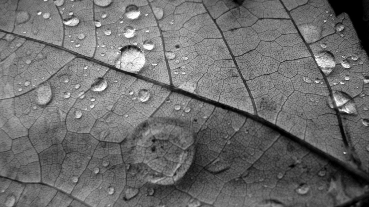 Серая заставка на рабочий стол