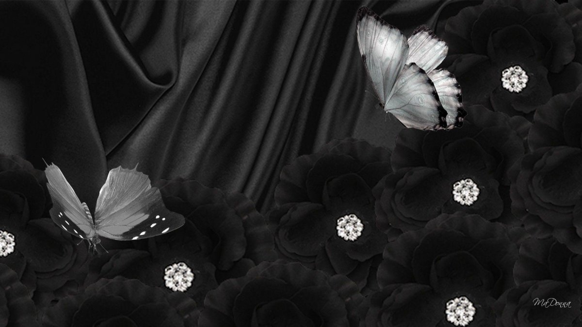 Красивый черный фон