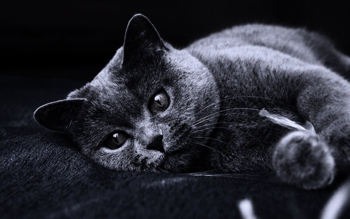 Текстура металла