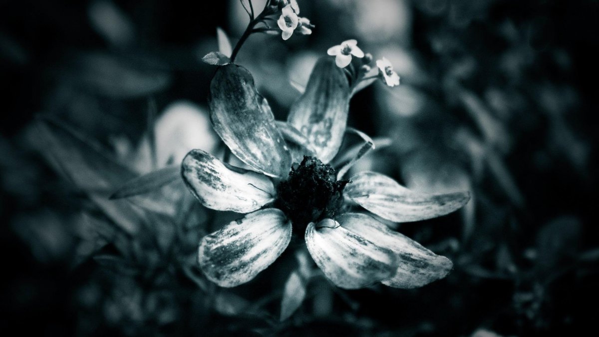 Серая галька фон