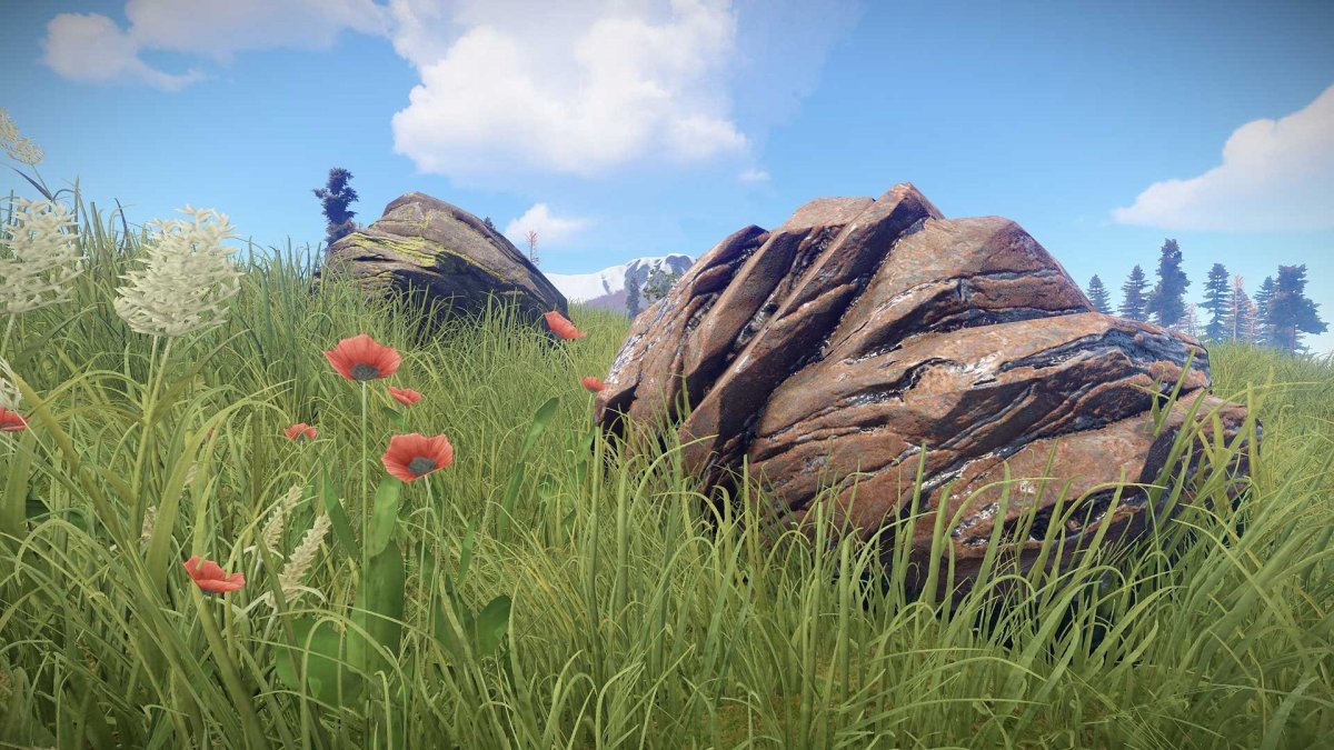 Раст красивые пейзажи