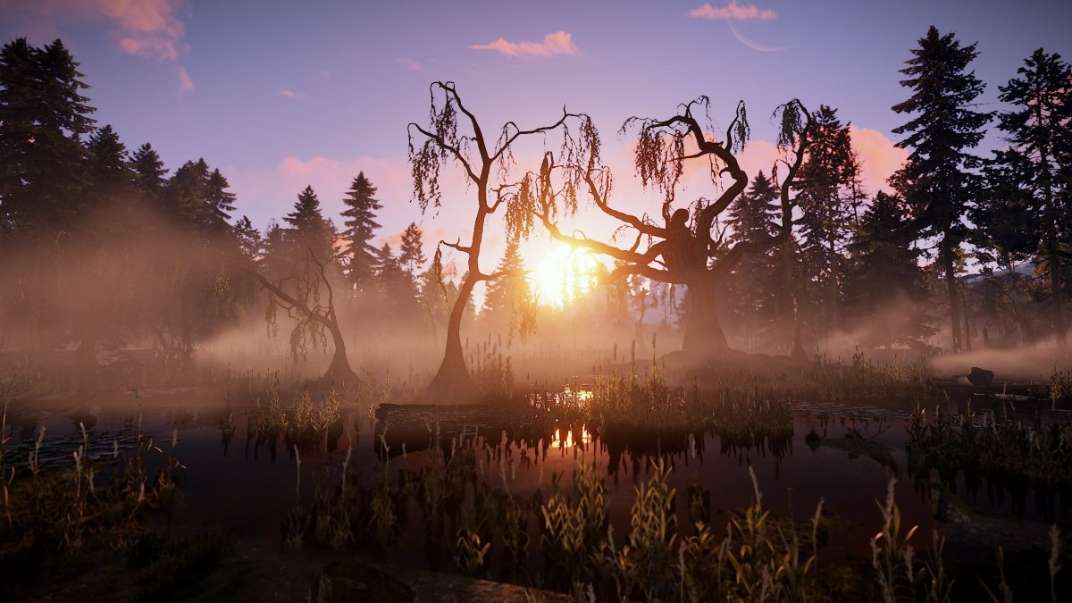 Картинки раст