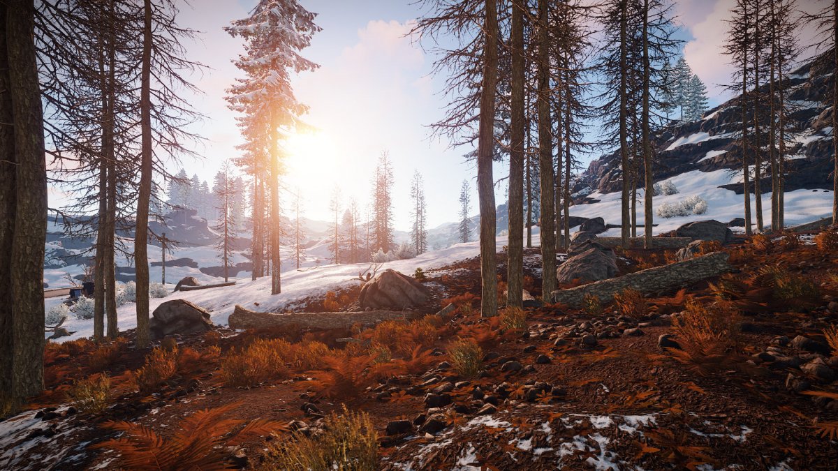 Раст 85 девблог