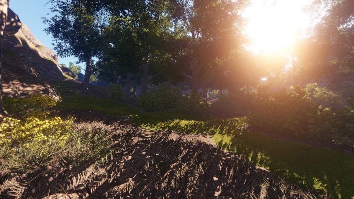 Пейзаж Раста