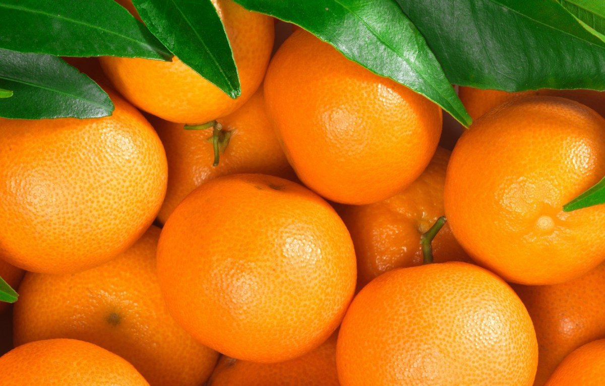 Сочный мандарин