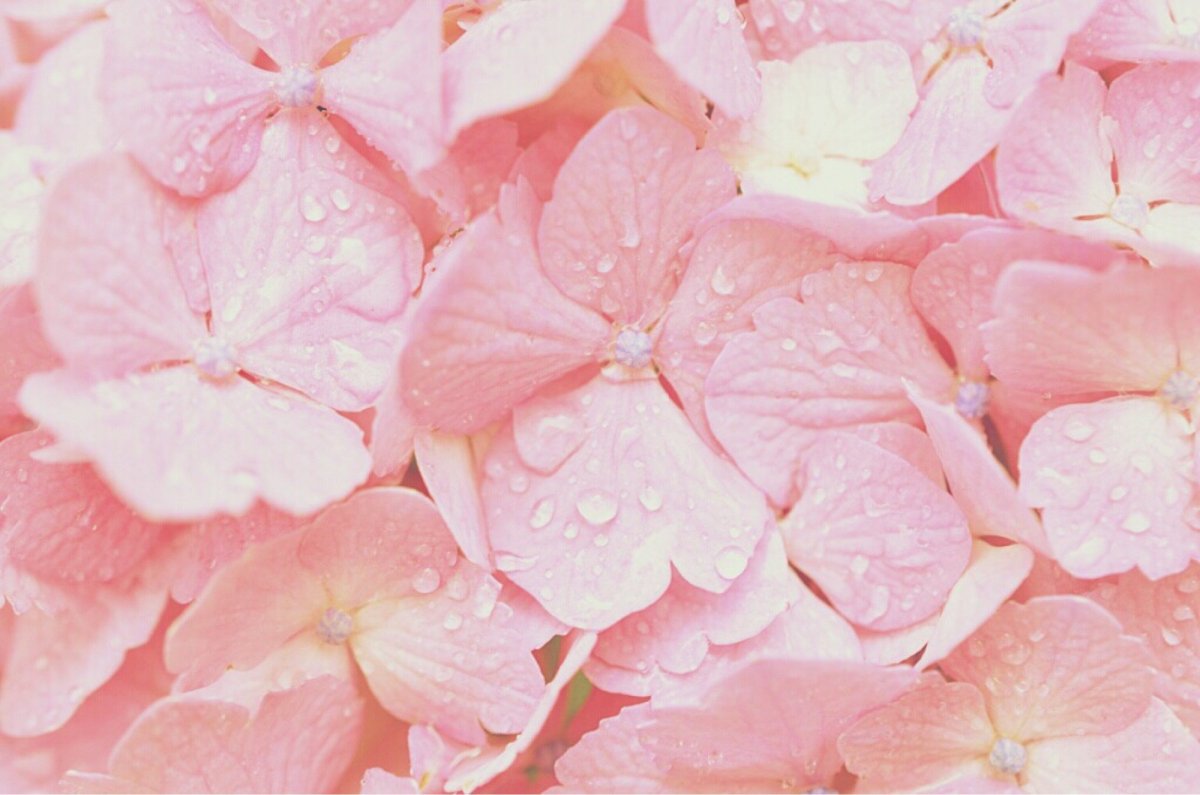 Фон с цветами вертикальный