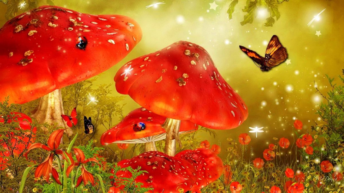 Сказочный лес с мухоморами