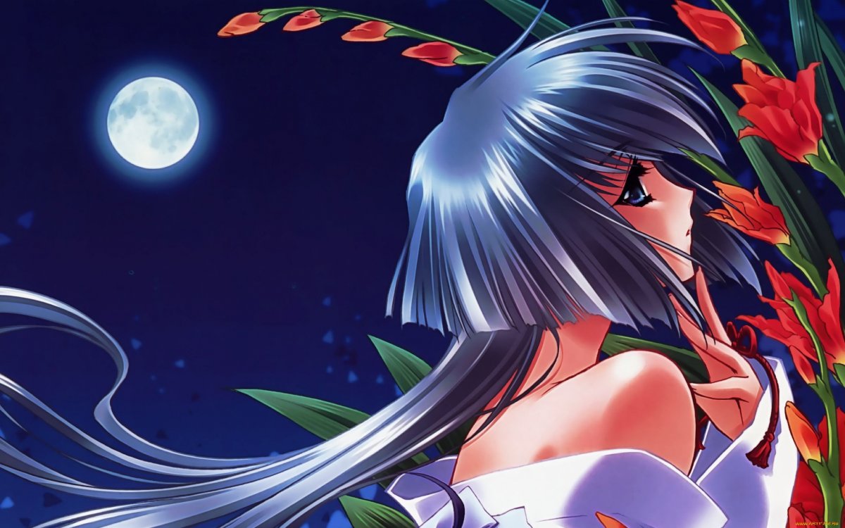 Touka Gettan аниме