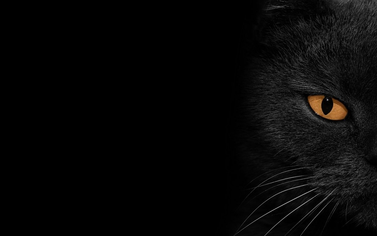 Черная заставка