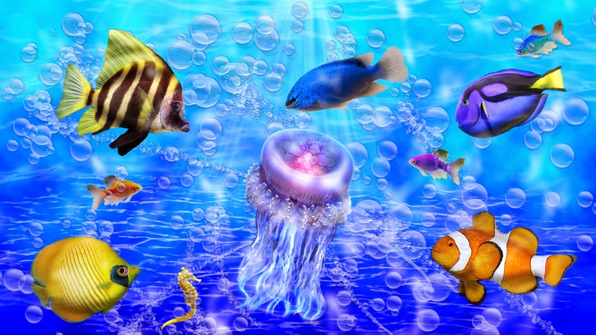 Заставка на рабочий стол рыбки