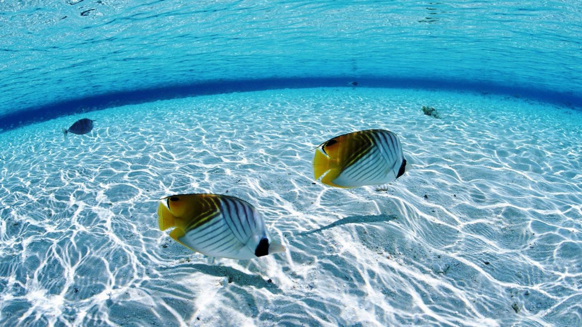 Заставка на рабочий стол океан