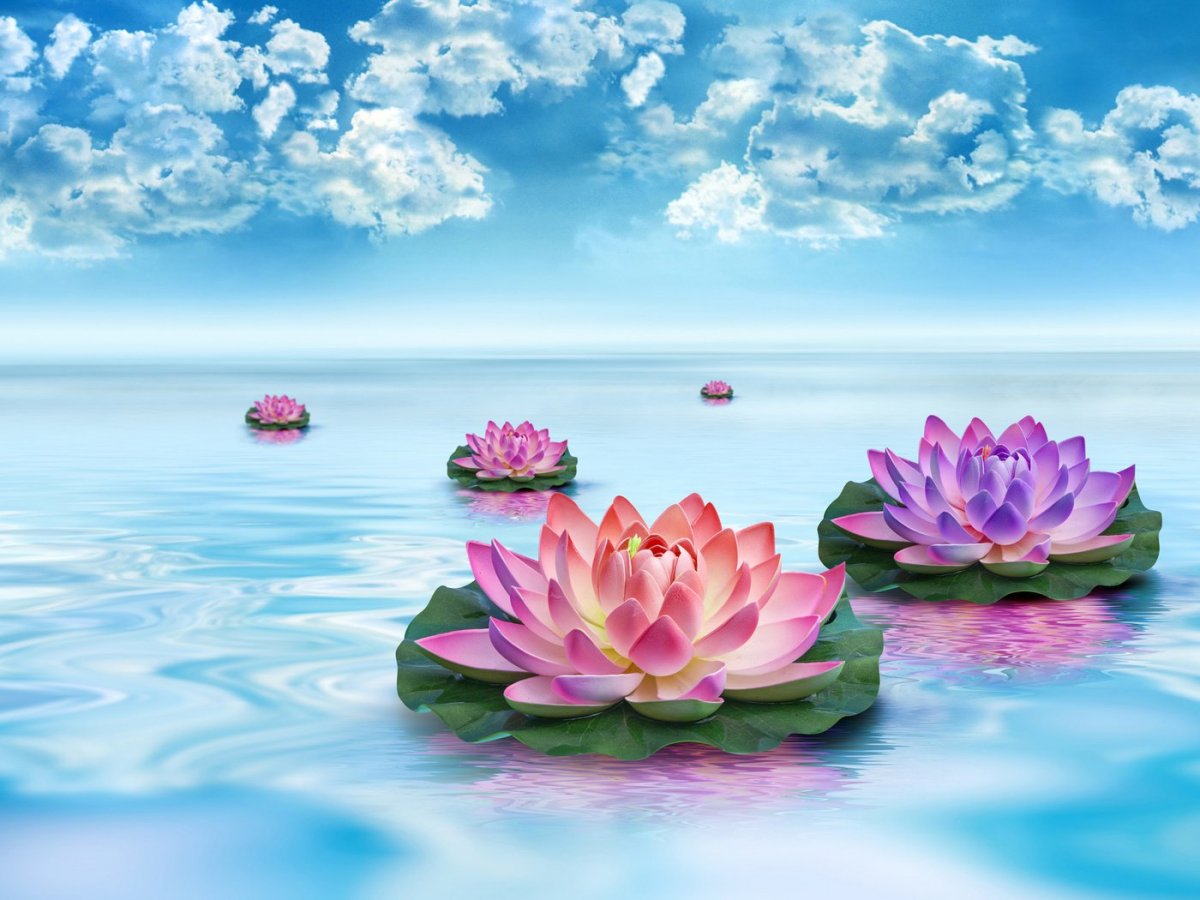 Рыбки плавают