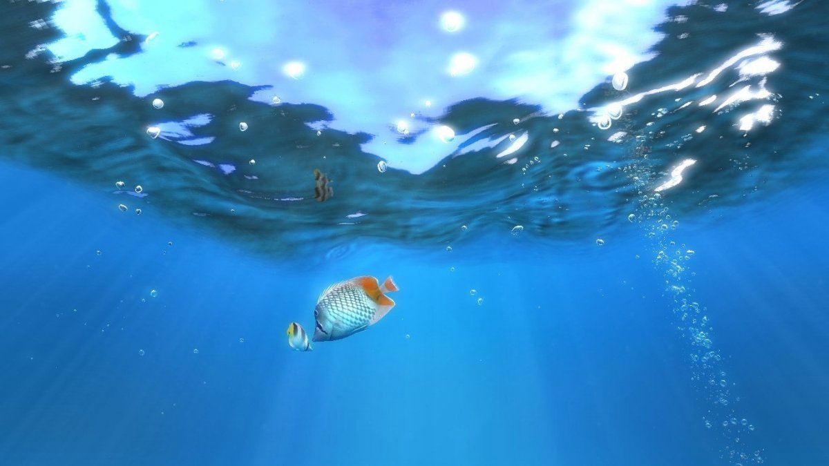 Фотообои дельфины