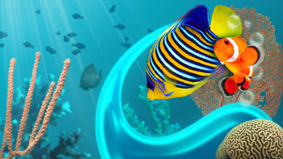 Красивые рыбки на рабочий стол