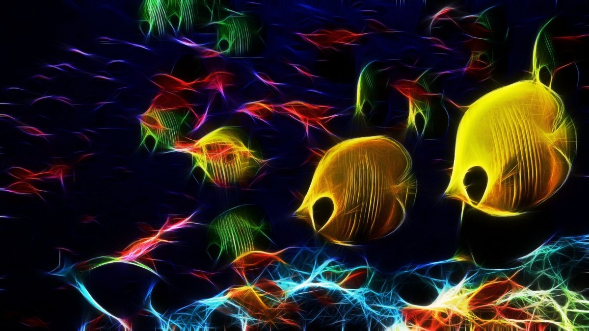 Лебедь плывущий на воде