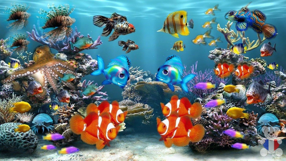 Фотообои аквариум
