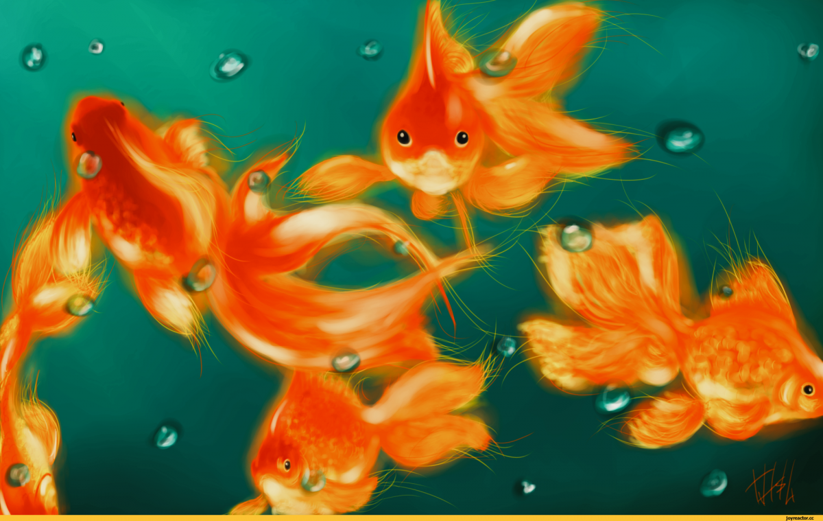 Волшебство абстракция