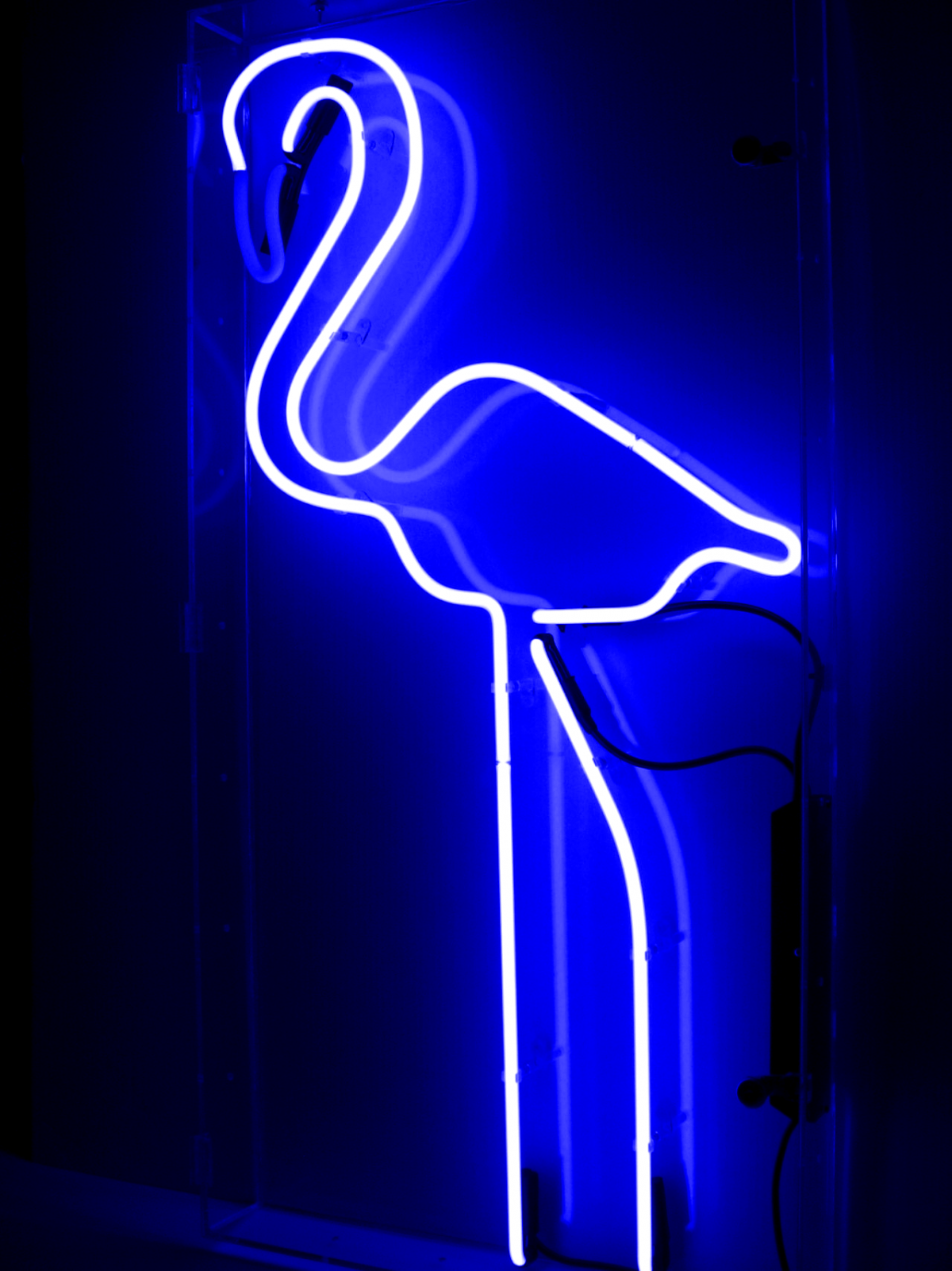 Голубой неон Эстетика
