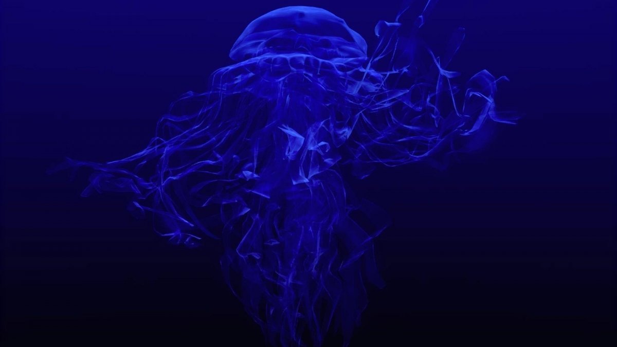 Медузы обои