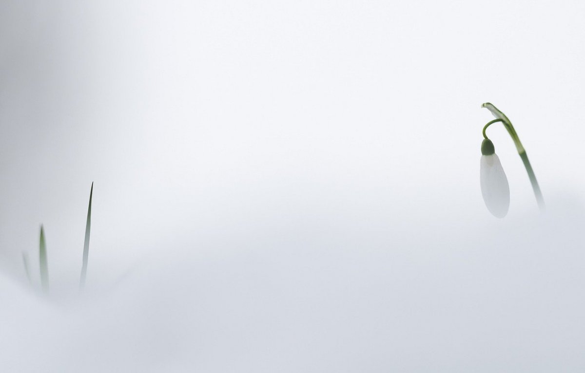 Весна Минимализм