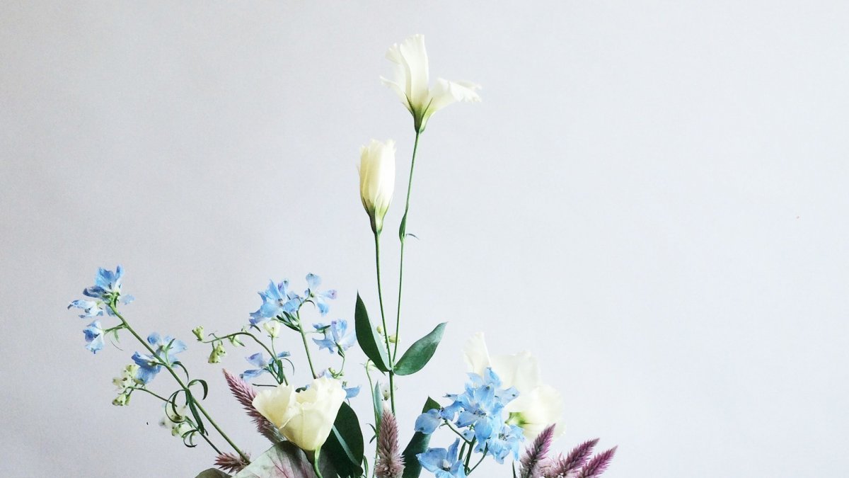 Цветы Минимализм