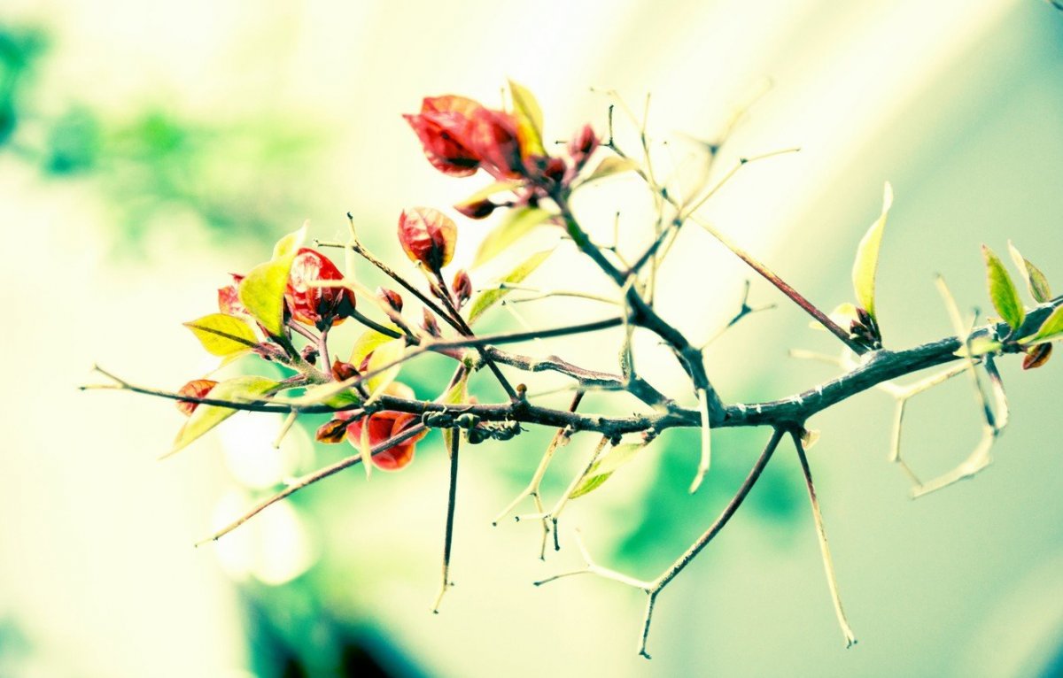 Весенний Минимализм